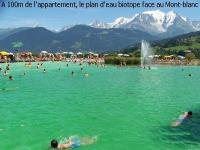 Baignade face au Mont-blanc