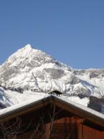 Appartement &agrave; Crest-Voland Cohennoz (Val d'Arly)