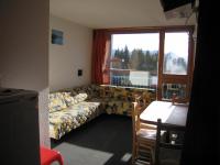 Studio &agrave; Les Arcs - Arc 1800 (Paradiski : La Plagne - Les Arcs)