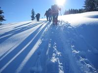 Appartement &agrave; Villard sur Doron (Beaufortain)