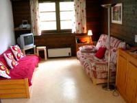 Appartement &agrave; Châtel (Portes du Soleil)