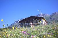 Appartement &agrave; La Giettaz en Aravis (Val d'Arly)
